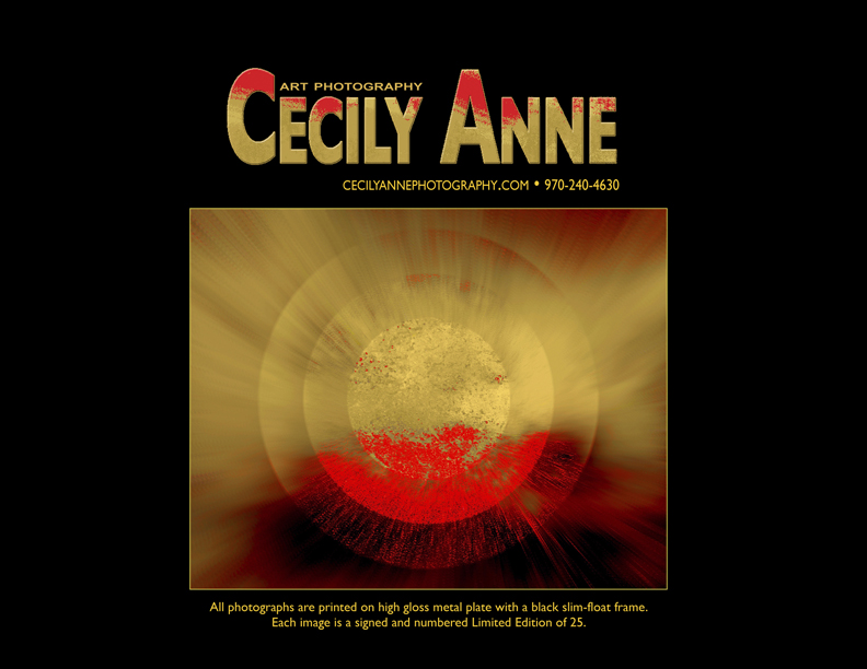 Cecily Anne Art Photograhy Cover